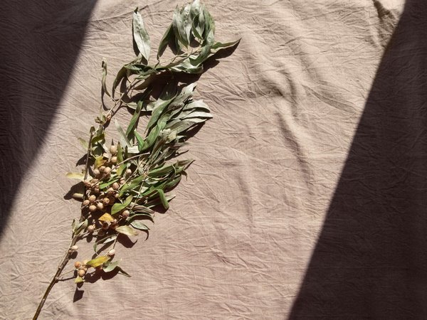 Ronds de serviette en argent massif : le cadeau idéal pour les nouveaux bébés